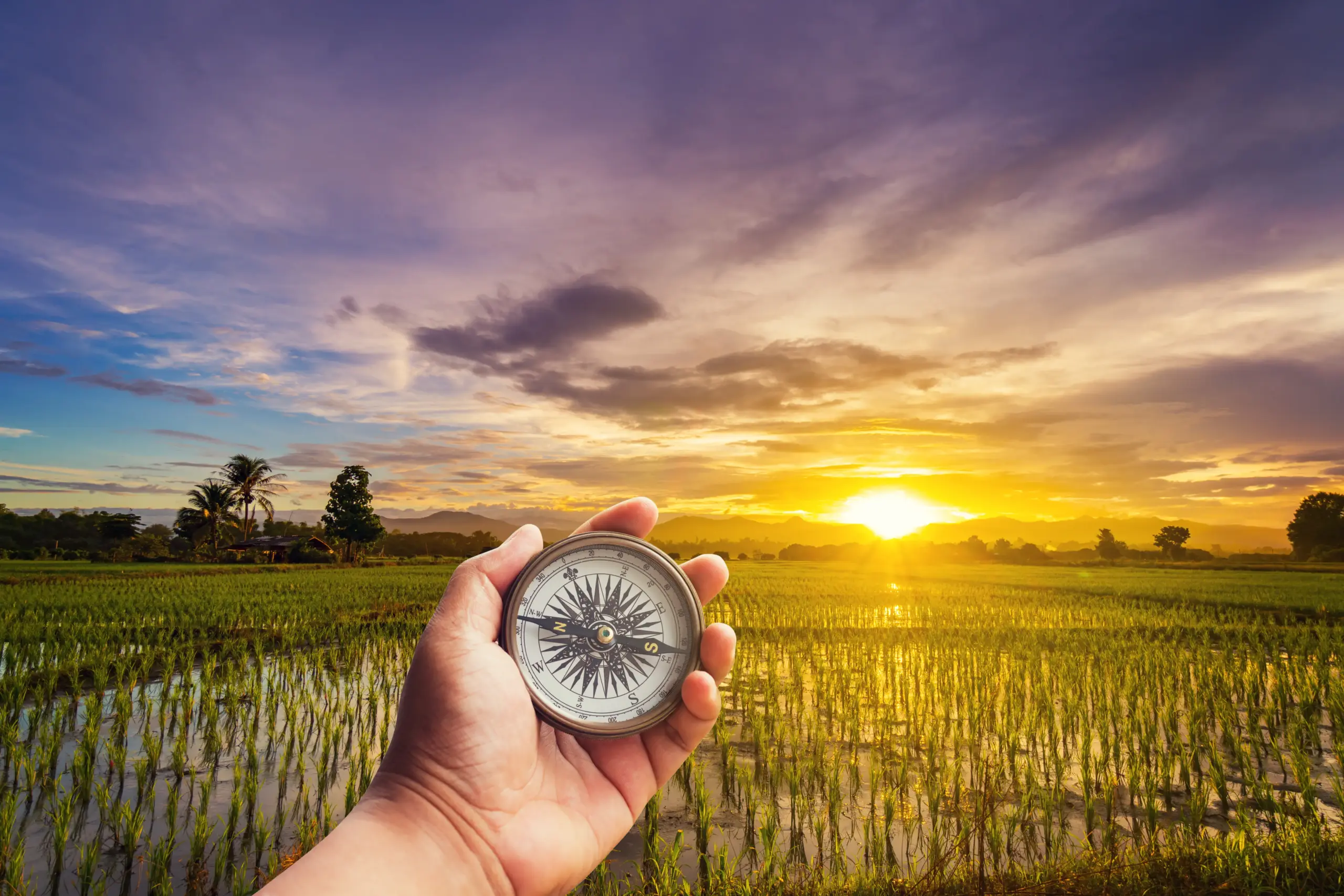 person-holding-navigational-compass-rice-paddy-against-sky-sunset